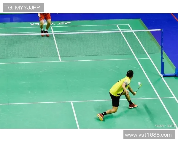 羽毛球战术解析：杭州羽毛球队区域防守的奥秘与实践探讨